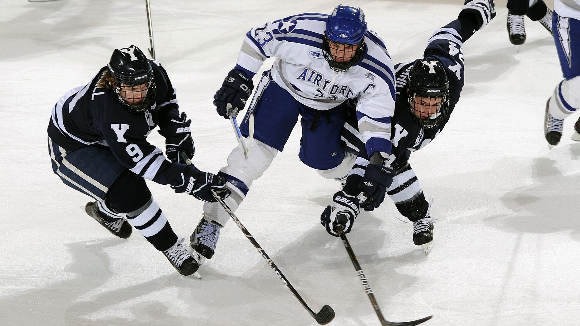 体育新闻中心深化体育视频版权管理合作，体育短视频成为平台和用户的新宠
