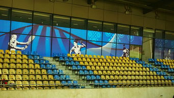 爱游戏 ayx 中国官方网站-新加坡队未来计划：建立更完善的青少年乒乓培养体系，新加坡乒乓球运动