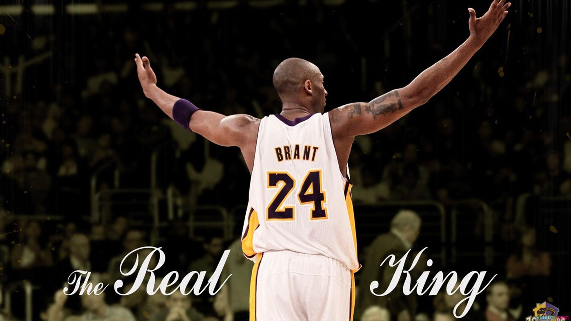 爱游戏体育在线app-球员场上表现精华盘点，球员场上位置